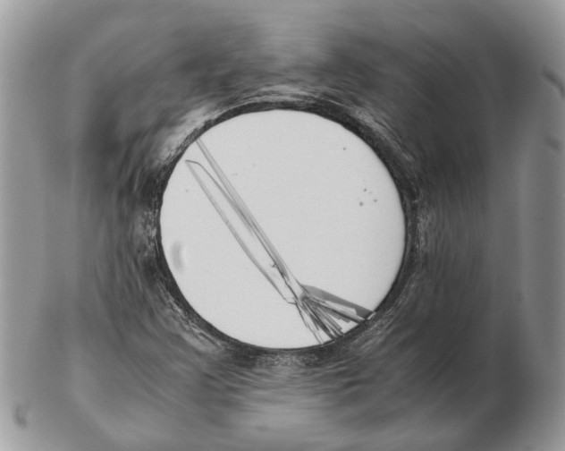 X0000102471355200809051323