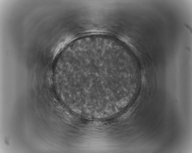 X0000102471357200809051323