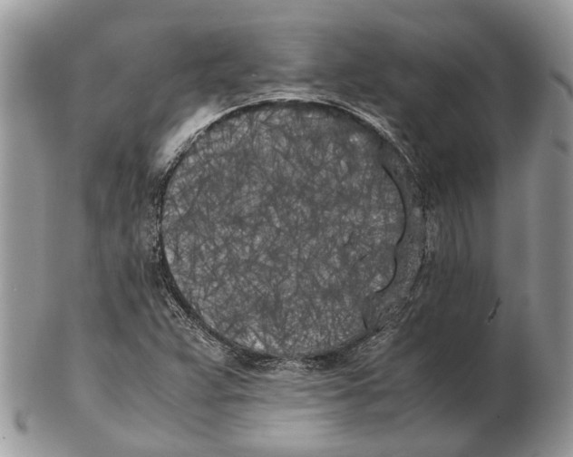 X0000102471359200809051323