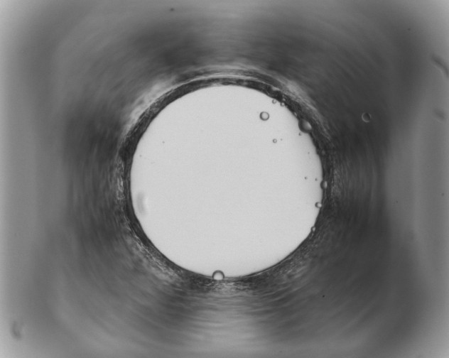 X0000102471360200809051323