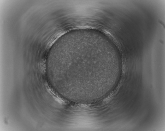 X0000102471361200809051323