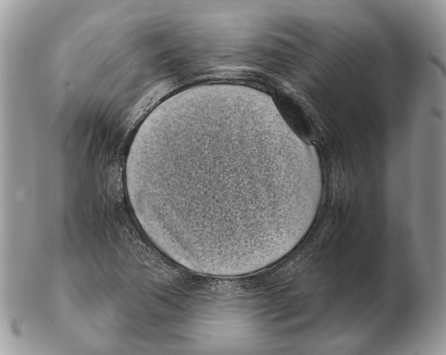 X0000102471362200809051323