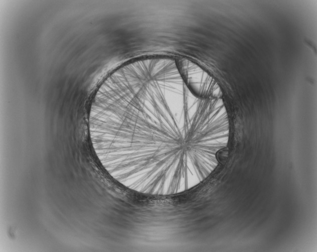 X0000102471363200809051323