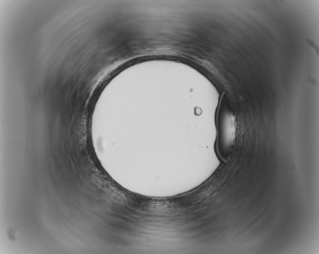 X0000102471364200809051323