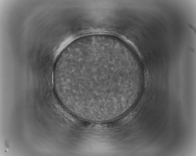 X0000102471365200809051323