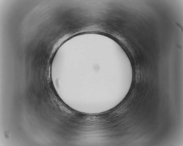 X0000102471366200809051323
