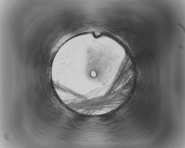 X0000102471367200809051323