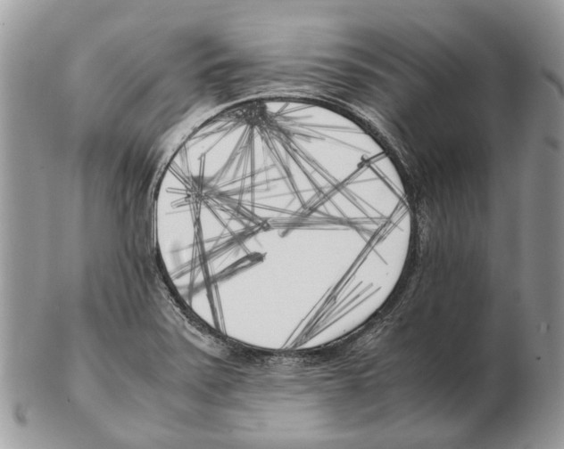 X0000102471371200809051323