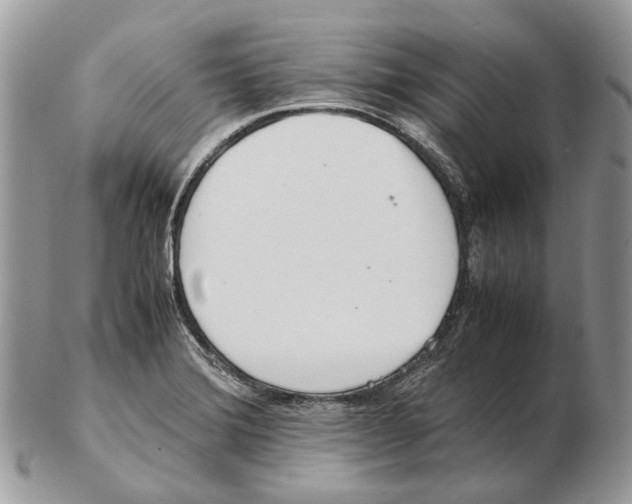 X0000102471372200809051323