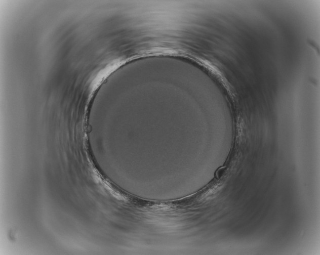 X0000102471373200809051323