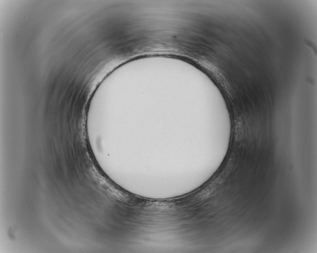 X0000102471374200809051323
