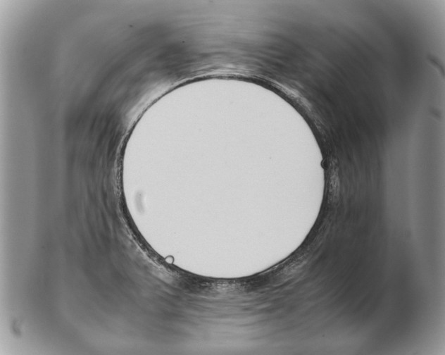 X0000102471375200809051323