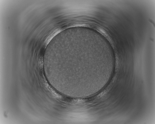 X0000102471377200809051323