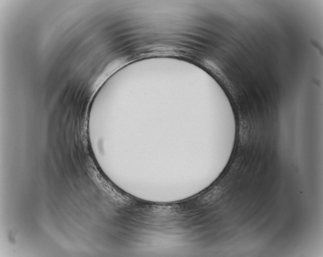 X0000102471378200809051323