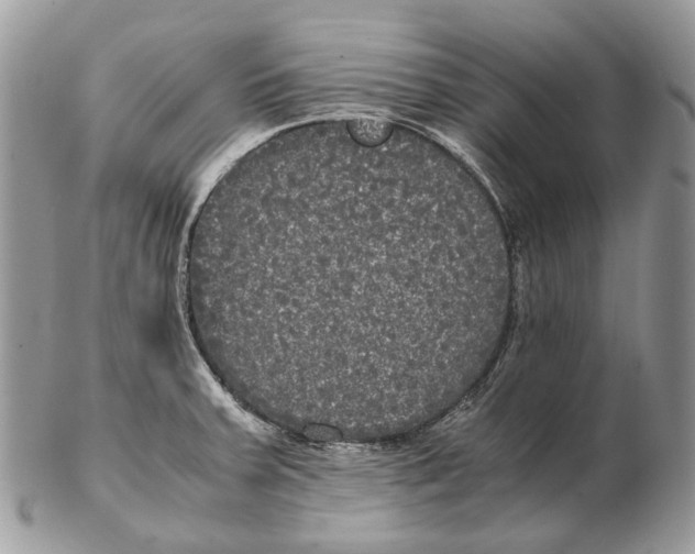X0000102471379200809051323