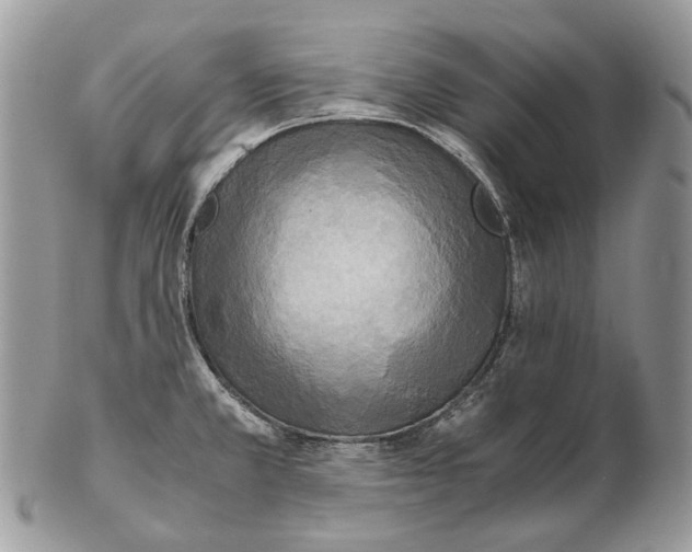 X0000102471381200809051323