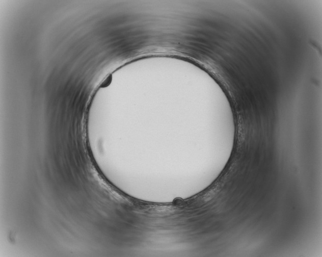 X0000102471382200809051323