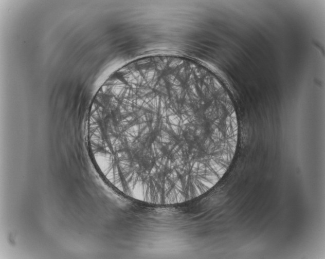 X0000102471383200809051323