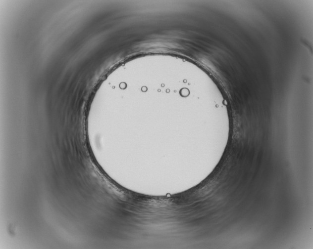 X0000102471384200809051323