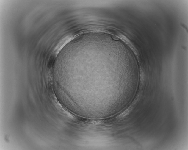 X0000102471385200809051323