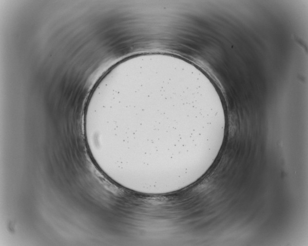 X0000102471388200809051323