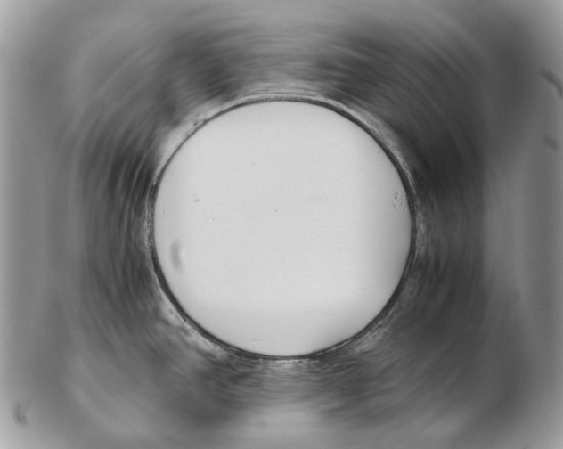 X0000102471390200809051323
