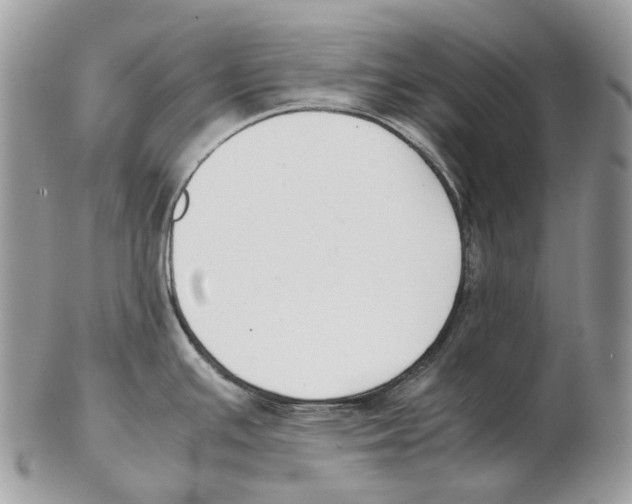 X0000102471391200809051323