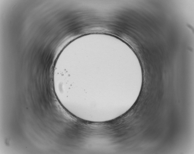 X0000102471392200809051323