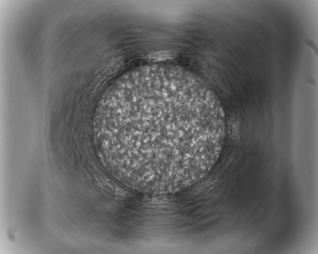 X0000102471393200809051322