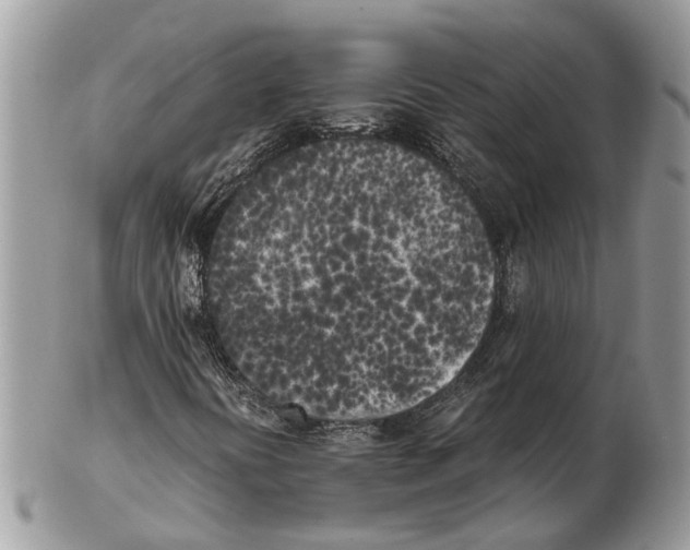 X0000102471394200809051322