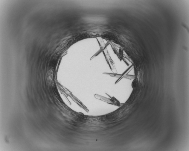 X0000102471396200809051322