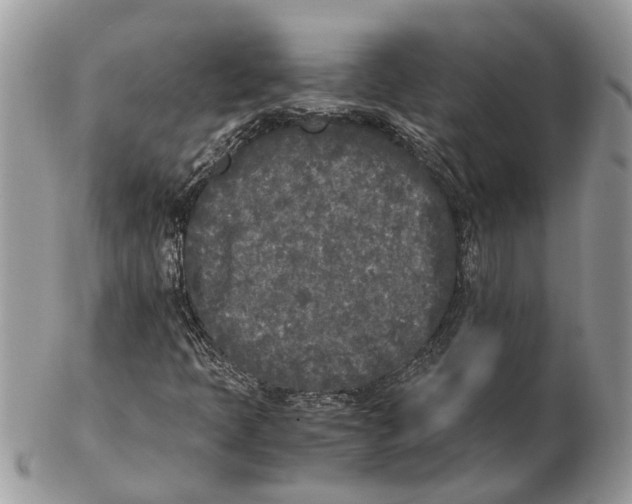 X0000102471397200809051322