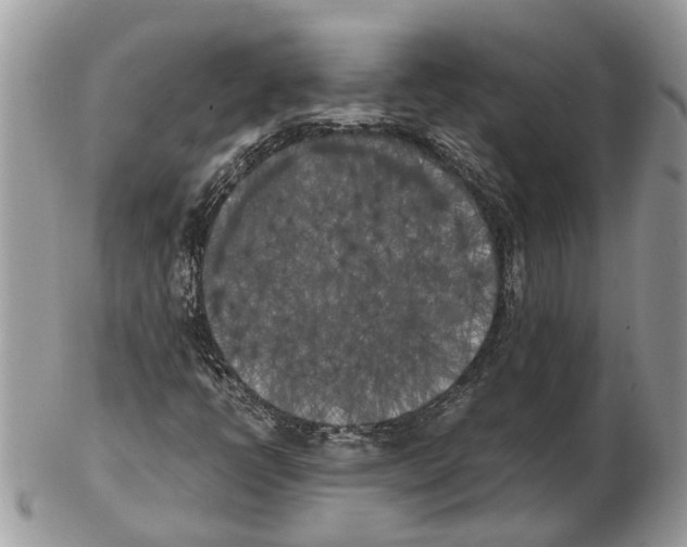 X0000102471398200809051322