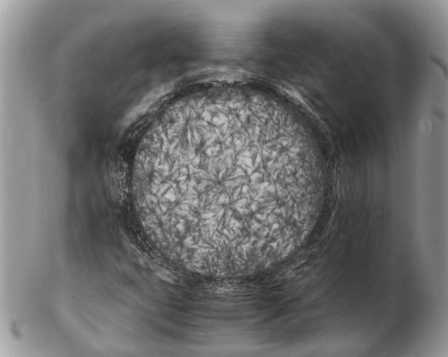 X0000102471399200809051322