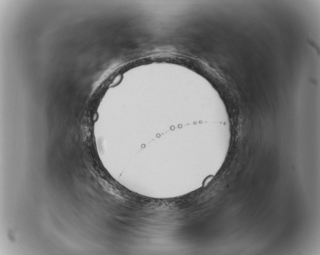 X0000102471400200809051322