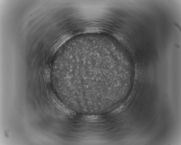 X0000102471401200809051322