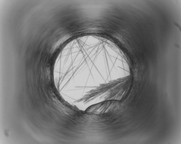 X0000102471402200809051322
