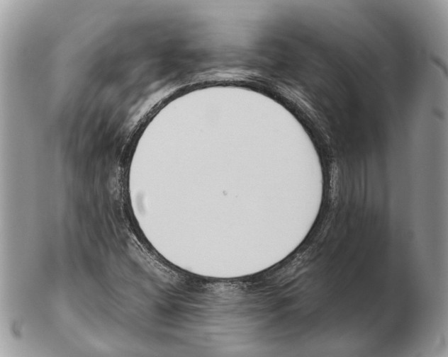 X0000102471404200809051322