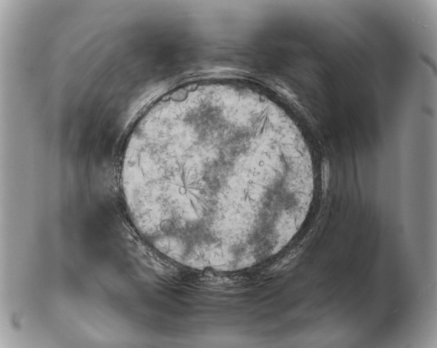 X0000102471405200809051322