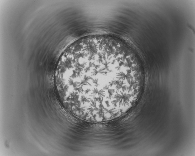X0000102471409200809051322