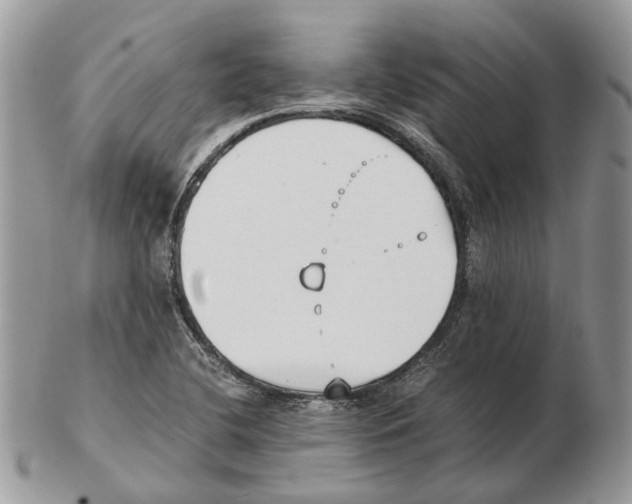 X0000102471412200809051322