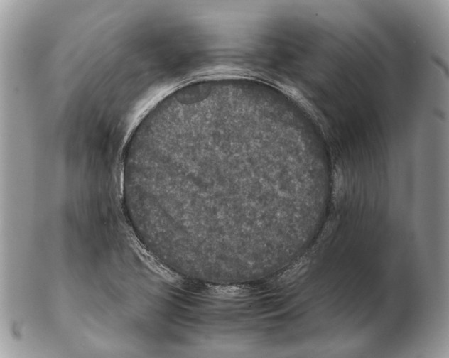X0000102471413200809051322