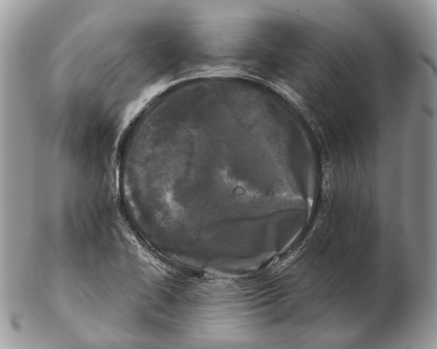 X0000102471414200809051322