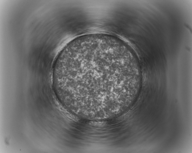 X0000102471415200809051322