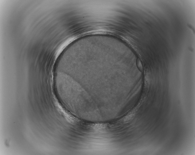 X0000102471418200809051322