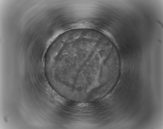 X0000102471419200809051322
