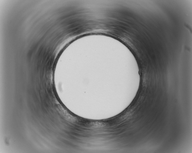 X0000102471420200809051322