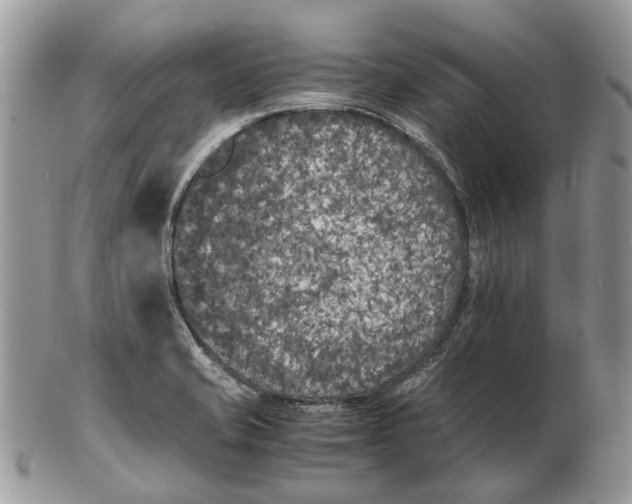 X0000102471421200809051322