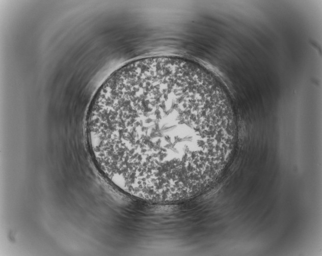 X0000102471423200809051322