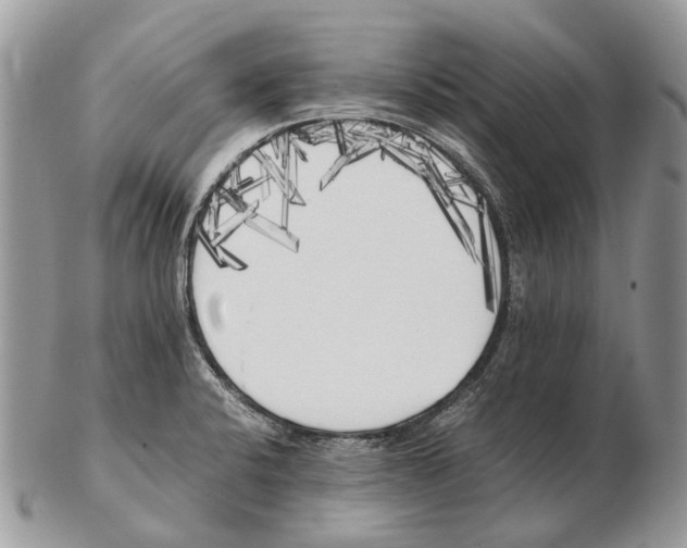 X0000102471424200809051322